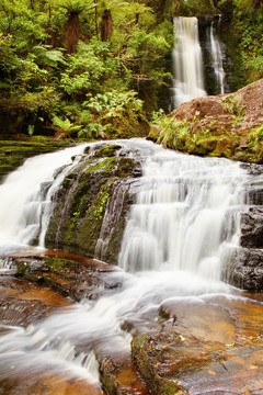 Mclean Falls；新西蘭