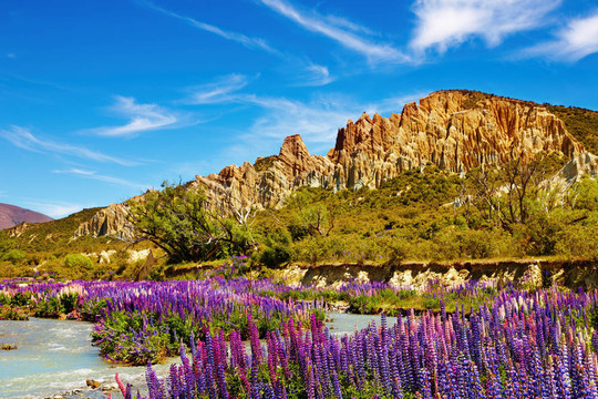 Clay Cliffs；新西蘭