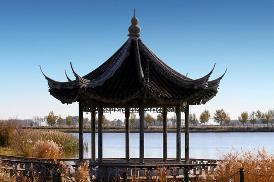 園林 園藝 公園 涼亭