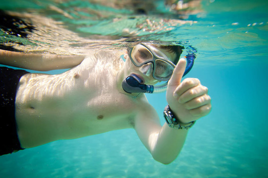 Snorkeler。紅海
