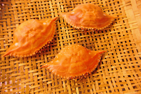 梭子蟹素材 高檔海鮮 海產(chǎn)品