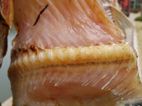 臘魚