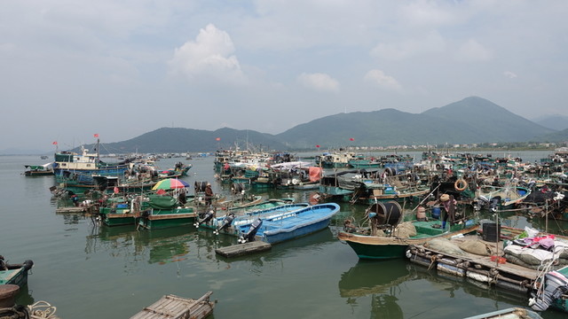 碼頭 漁港 河北漁港