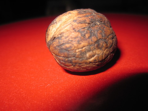 陜西核桃