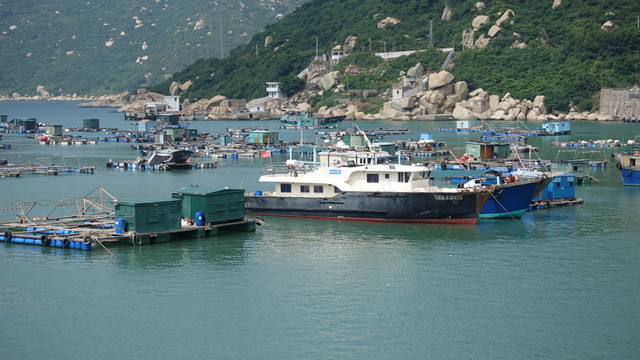 漁港 上川島 碼頭 漁船