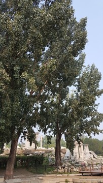 圓明園大水法遺址