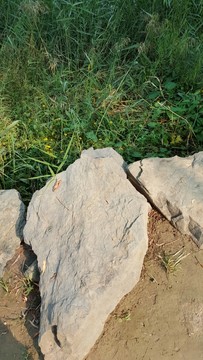 圓明園福海礫石