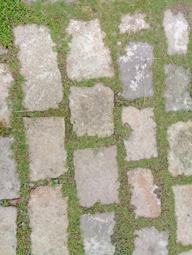 石板路 石縫小草 石頭路