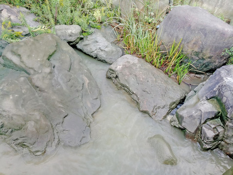 灘涂 溪流 河岸 河灘