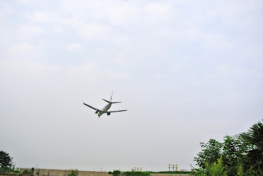 飛機(jī)信號燈 飛機(jī)降落