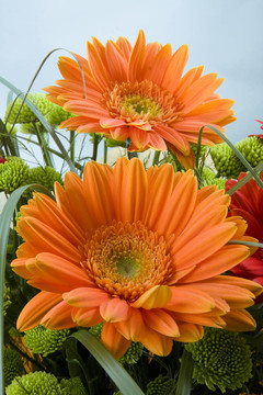 花束