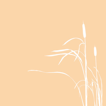 褐色背景上蘆葦?shù)妮喞? style=