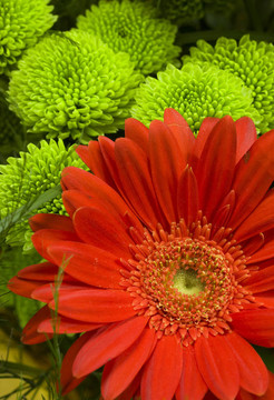 花