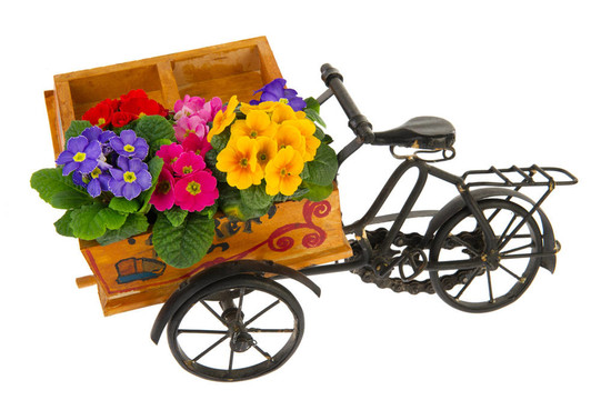 花的自行車