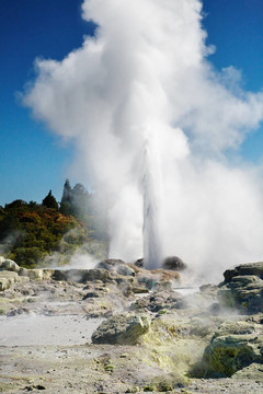 Pohutu Geyser；新西蘭