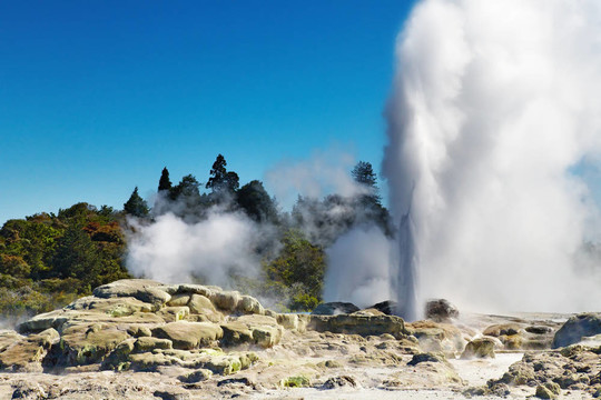 Pohutu Geyser；新西蘭
