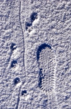 在雪的痕跡