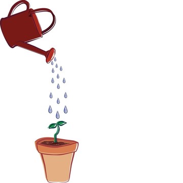 澆水罐和Flower Pot