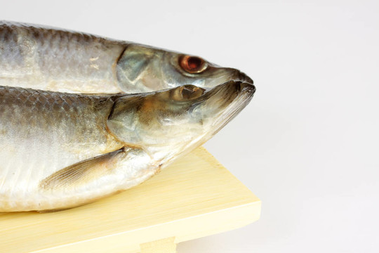 白色背景上腌制的鯡魚