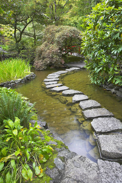 通過(guò)一個(gè)池塘小徑。