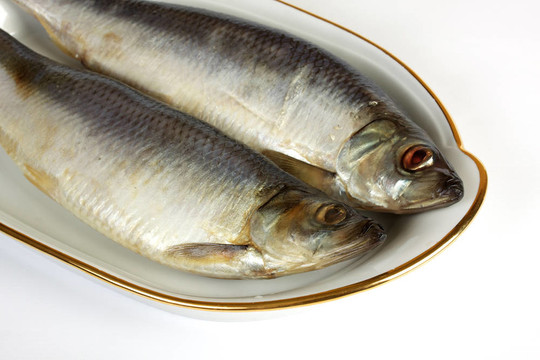 白色背景上腌制的鯡魚