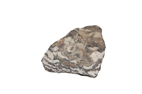 White上的斑馬巖