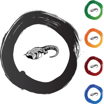 鱷魚