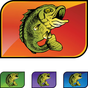 大嘴鱸魚