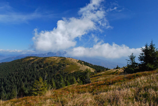 高高的山上的風(fēng)景