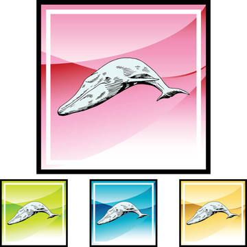 鯨魚