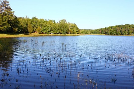 蒂肖明戈州立公園-密西西比河