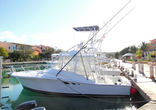 fisherboats在墨西哥碼頭