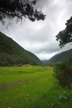 waipio谷