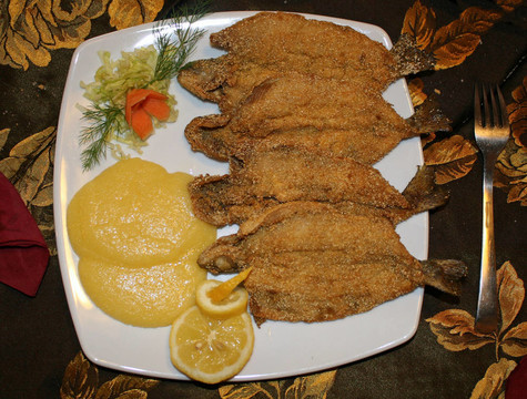 淡水魚(yú)魚(yú)苗在意大利餐廳