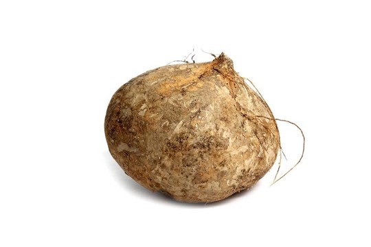 豆薯地瓜墨西哥食品蔬菜