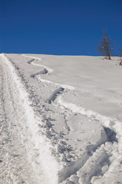 雪地里的滑雪道