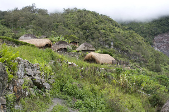 印尼山村的傳統(tǒng)小屋