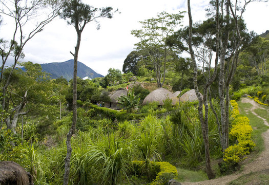 民居；建筑；文化；鄉(xiāng)村；美；霧；原住民