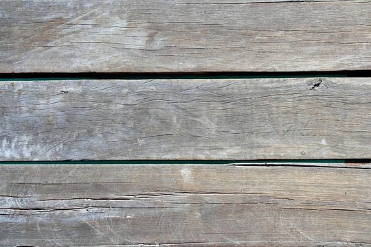 老年熱帶墩木結(jié)構(gòu)