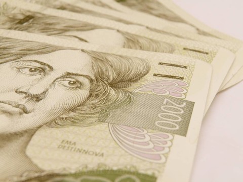 捷克korunas CZK（捷克共和國法定貨幣）的紙幣