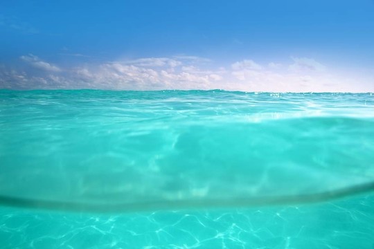 水線加勒比海水下和藍色的大海