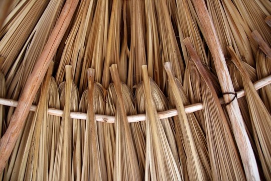 在天窗帕拉帕小屋屋頂?shù)淖貦皹涞娜~子