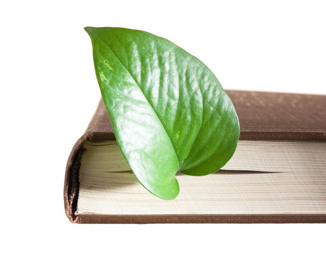 書(shū)中的綠葉書(shū)簽