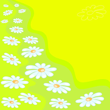 雛菊。