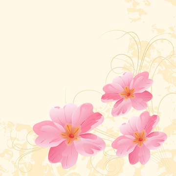 報(bào)春花。