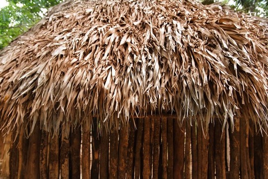 但墨西哥叢林瑪雅房屋頂壁PALAPA