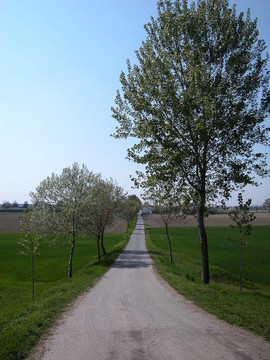 鄉(xiāng)村路