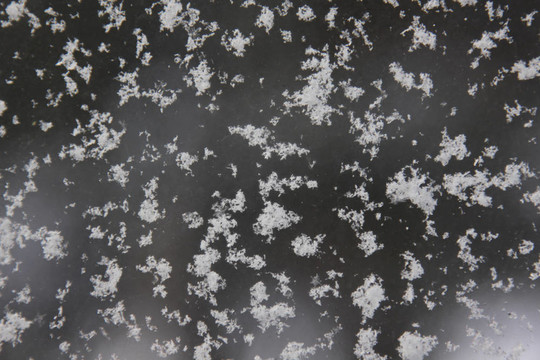 雪花紋理