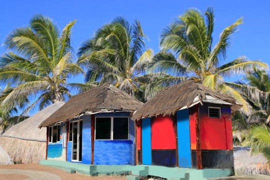 小屋小屋帕拉帕五顏六色的熱帶棕櫚樹