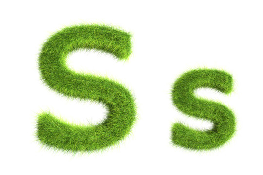 草的信